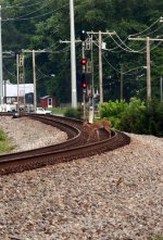 Bambi crosses the right-of-way in advance of the next train, which sported CSX 911 leading